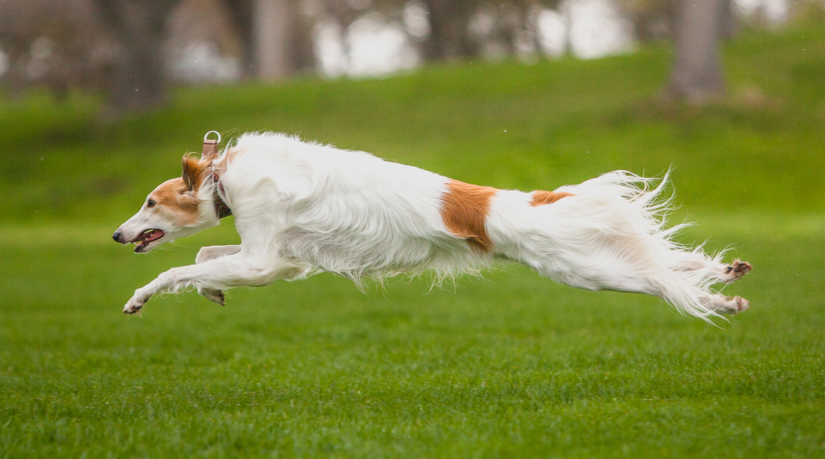 Magic running in the rain at Silkenfest 2023