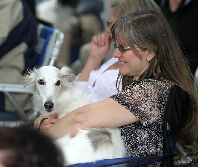 Storm - Silkenfest rest