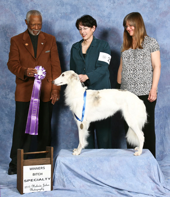 Storm - Winners Bitch Silkenfest
